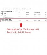 Bloods HGH Pre Cycle Test2.jpg