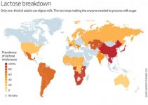 75-of-earth-population-are-lactose-intolerant-800x569.jpg