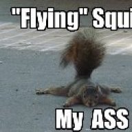 flyingsquirrel