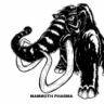 Mammoth-Pharma