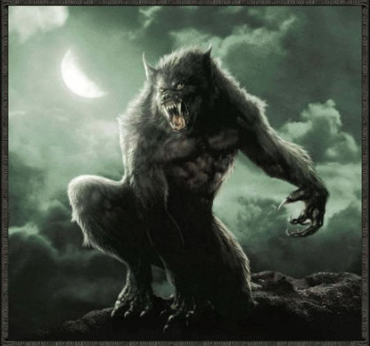 Werewolf-werewolves-12640998-530-496.gif