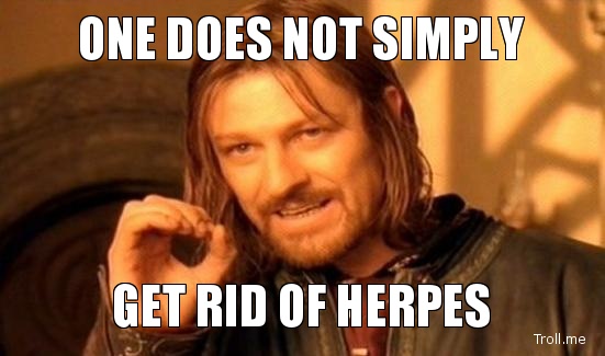 one-does-not-simply-get-rid-of-herpes.jpg