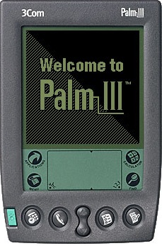 palm-info-3.jpg